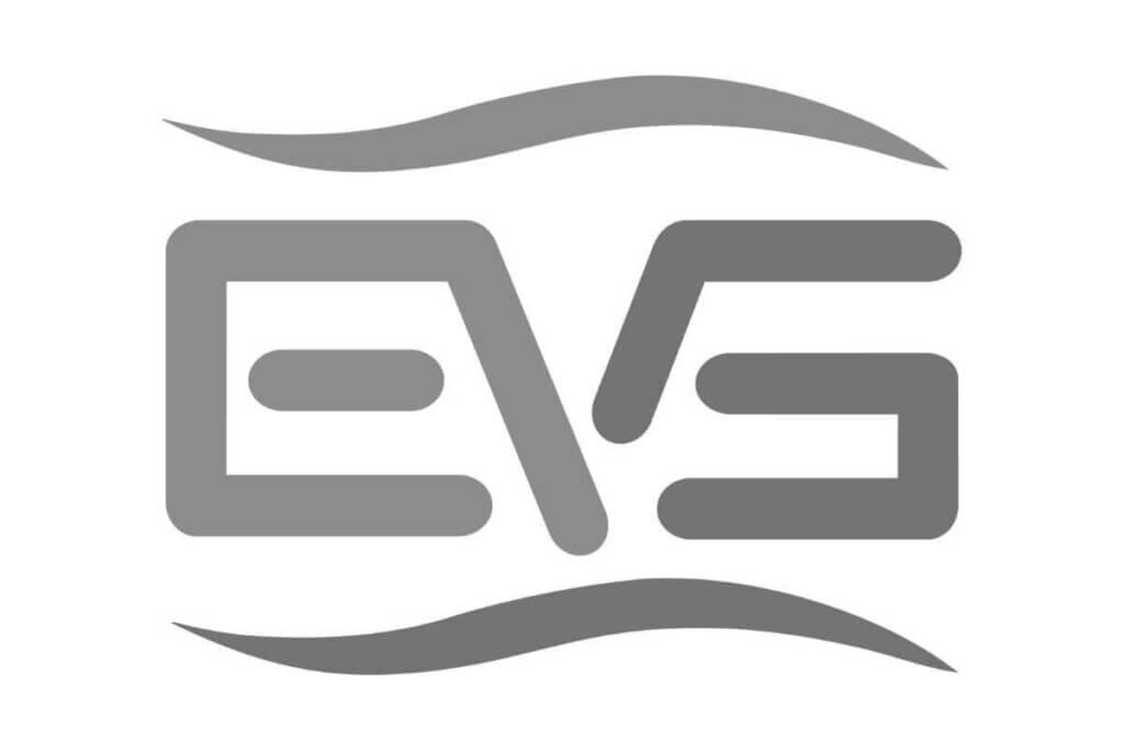 evs.jpg